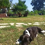 Casa vacanze Daidala Life Göcek