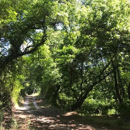 Tatil Evi Daidala Life *