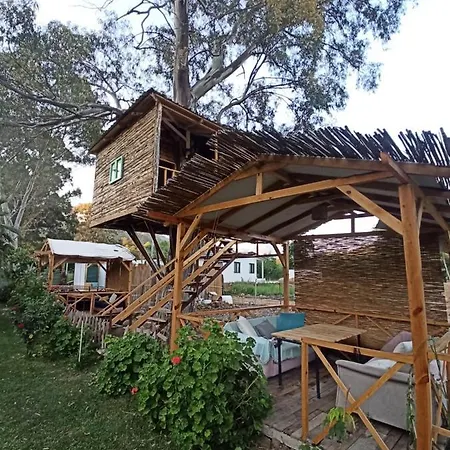 Tatil Evi Daidala Life