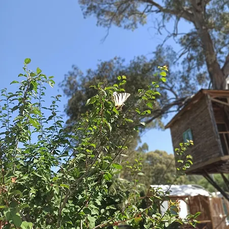 Daidala Life Tatil Evi Göcek