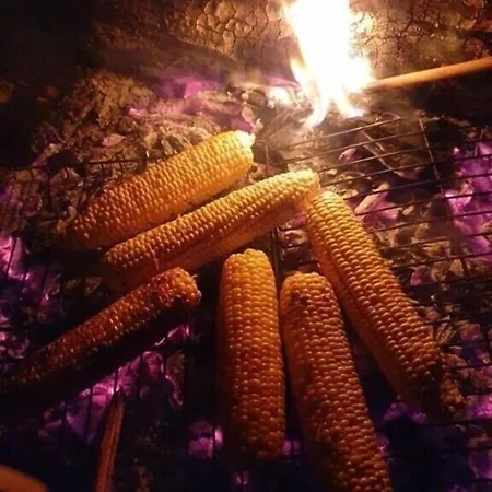 Daidala Life Tatil Evi Göcek