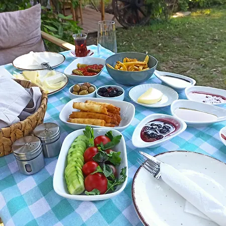 Tatil Evi Daidala Life *