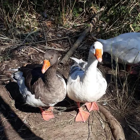 Σπίτι διακοπών Daidala Life Göcek