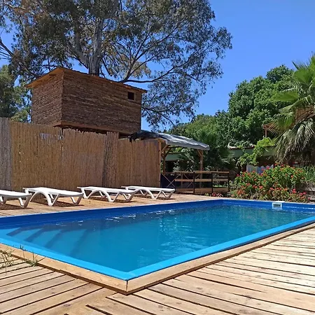 Daidala Life Fethiye