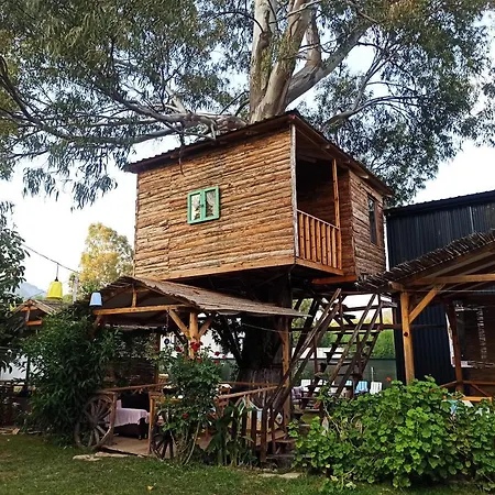 Bed & Breakfast Daidala Life Gocek (Fethiye)