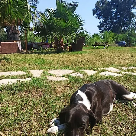 Σπίτι διακοπών Daidala Life Göcek