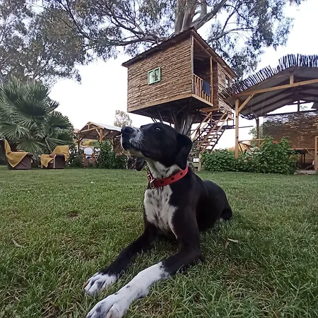 Daidala Life Σπίτι διακοπών