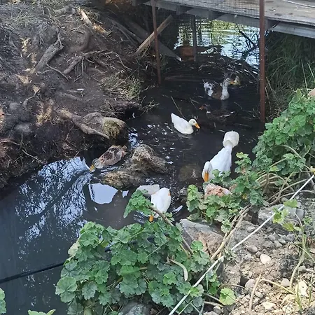 Daidala Life Σπίτι διακοπών *