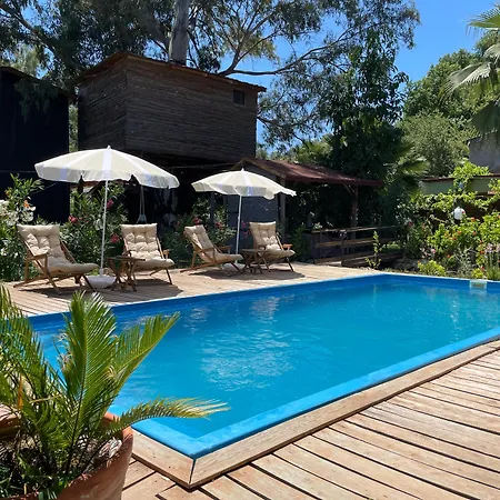 Tatil Evi Daidala Life