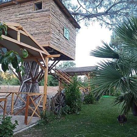 Tatil Evi Daidala Life *
