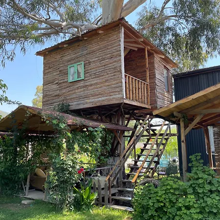 Daidala Life Fethiye